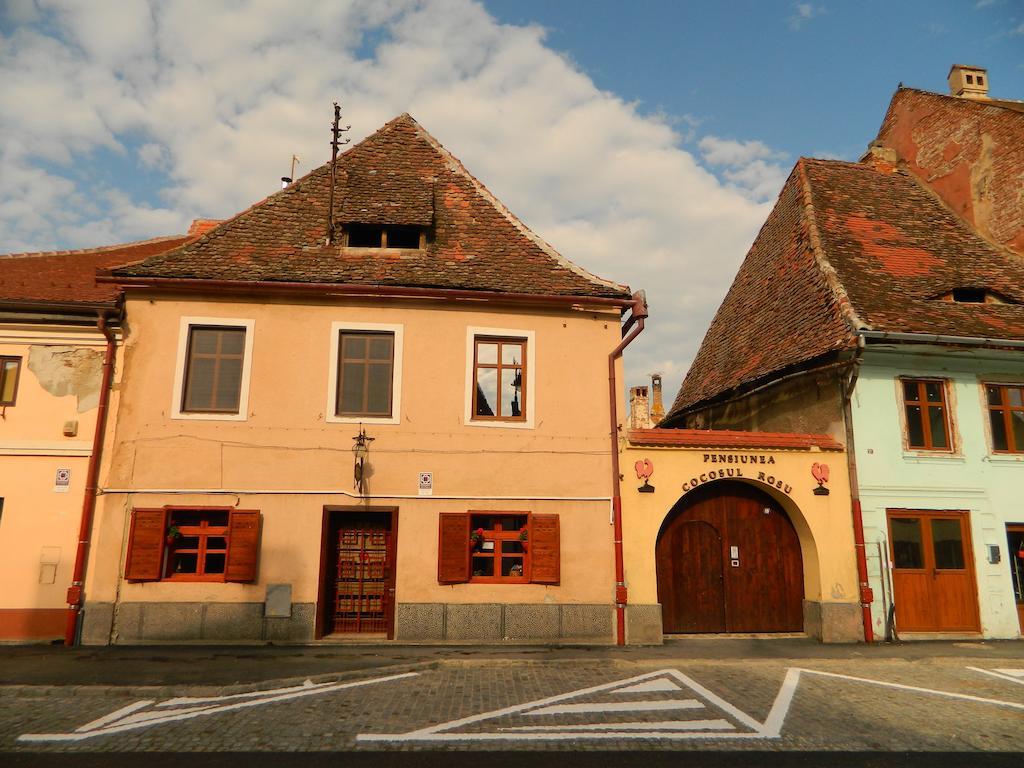 Pensiunea Cocosul Rosu Sibiu Esterno foto