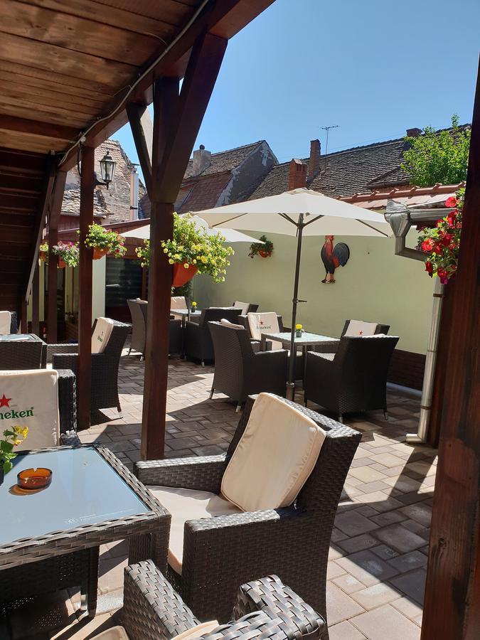 Pensiunea Cocosul Rosu Sibiu Esterno foto